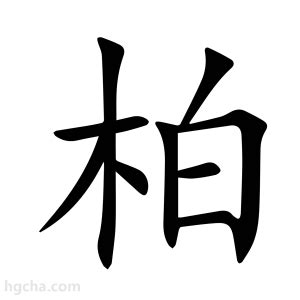 柏名字意思|< 柏 : (讀音) ㄅㄛˊ >辭典檢視